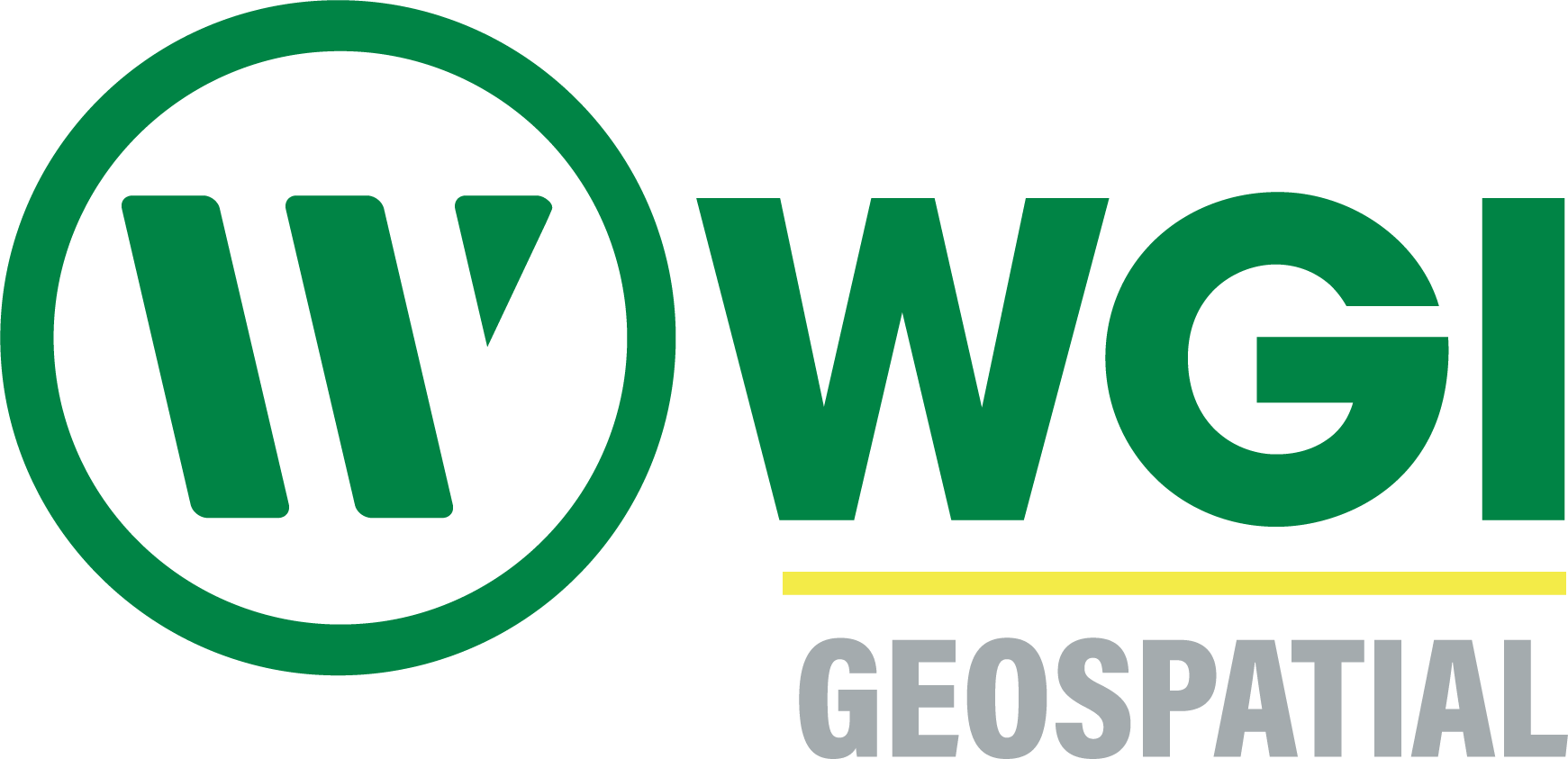 Logo and home page for WGI Geospatial